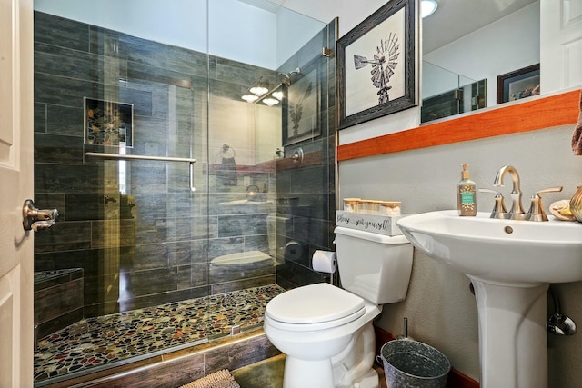 bathroom with toilet, a shower stall, and a sink