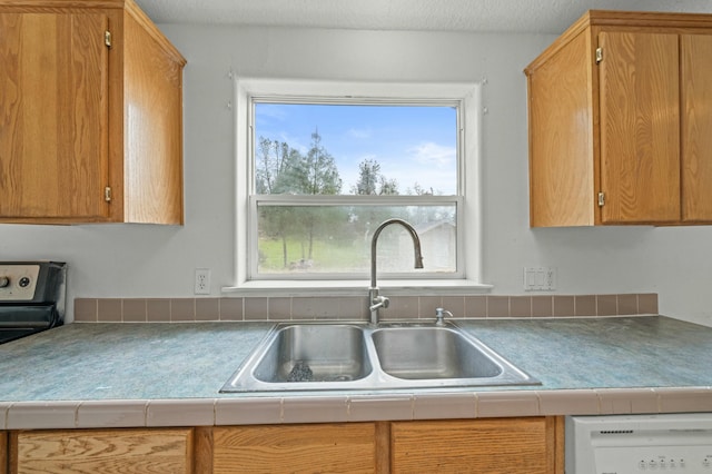 kitchen with dishwasher, light countertops, and a sink