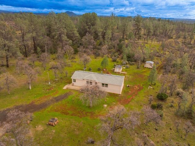 aerial view with a forest view