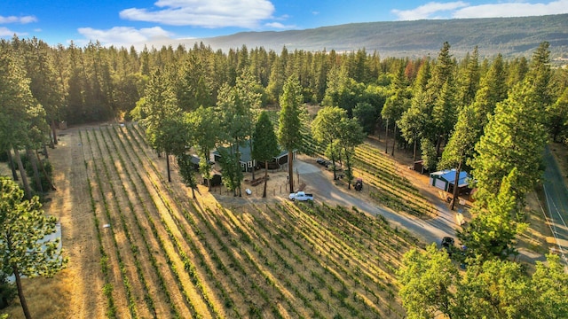 drone / aerial view featuring a rural view and a view of trees