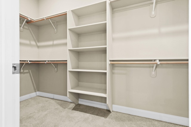 spacious closet with carpet floors