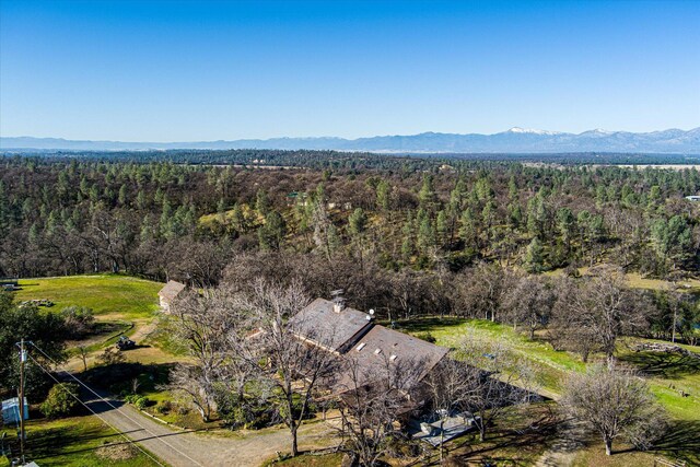 19515 Smith Ln, Cottonwood, CA 96022 - photo 4