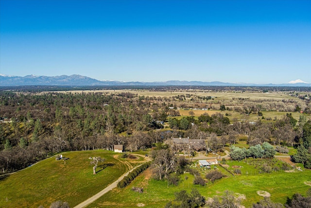 19515 Smith Ln, Cottonwood, CA 96022 - photo 9