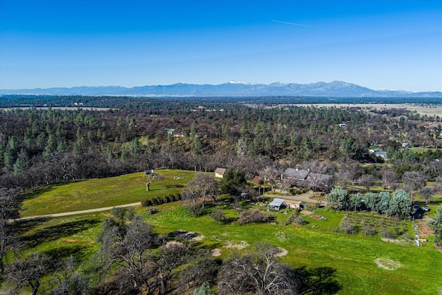 19515 Smith Ln, Cottonwood, CA 96022 - photo 85
