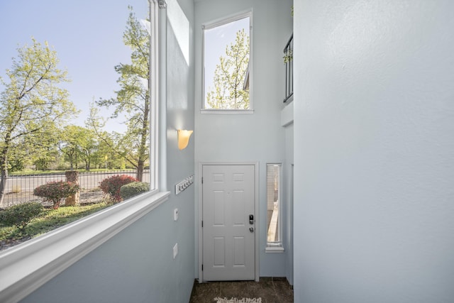 entryway with a wealth of natural light