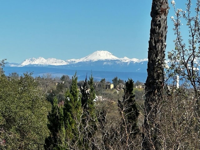 view of mountain feature