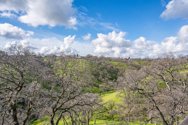 view of nature