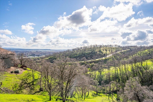 view of mountain feature featuring a wooded view