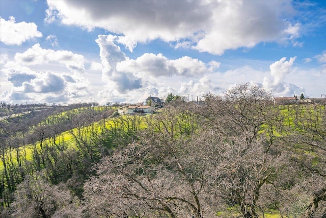 view of nature