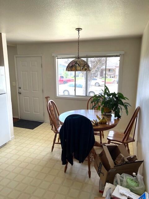 dining area with plenty of natural light, light floors, and a textured ceiling