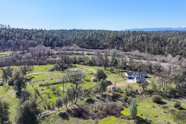 bird's eye view featuring a rural view and a view of trees