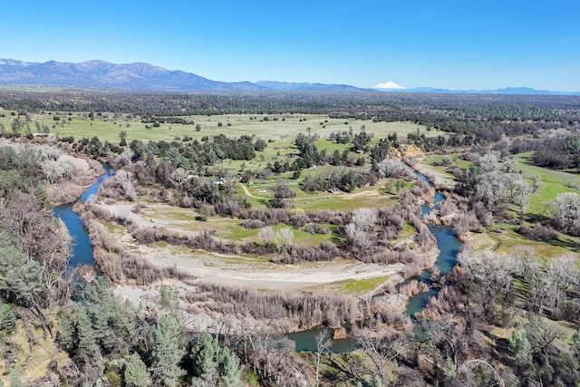 birds eye view of property featuring a view of trees and a water and mountain view