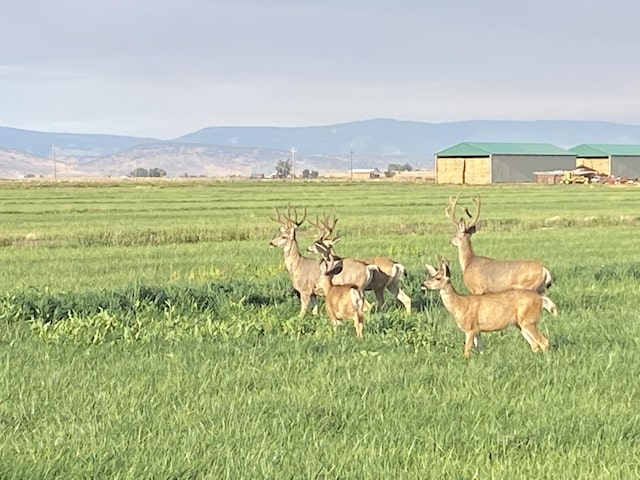 mountain view with a rural view