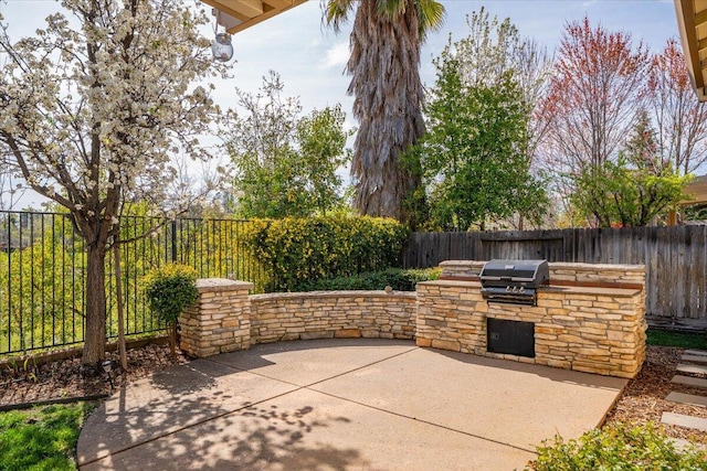 view of patio with grilling area, a fenced backyard, and an outdoor kitchen