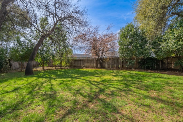 view of yard with a fenced backyard