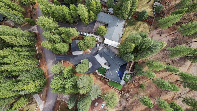 drone / aerial view