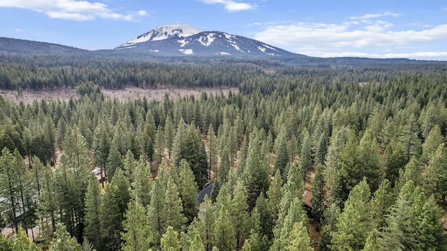property view of mountains featuring a view of trees