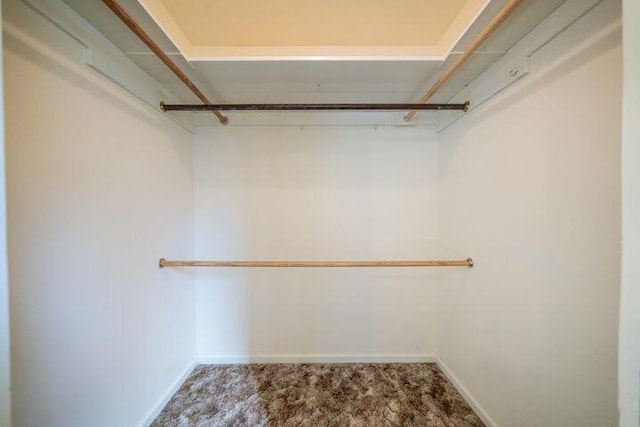 spacious closet with carpet flooring