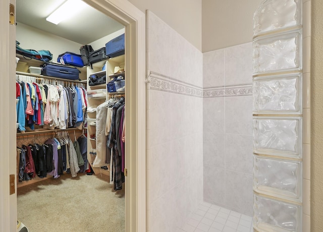 spacious closet featuring carpet flooring