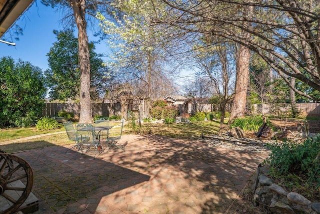 view of yard with a patio, a fenced backyard, and outdoor dining space