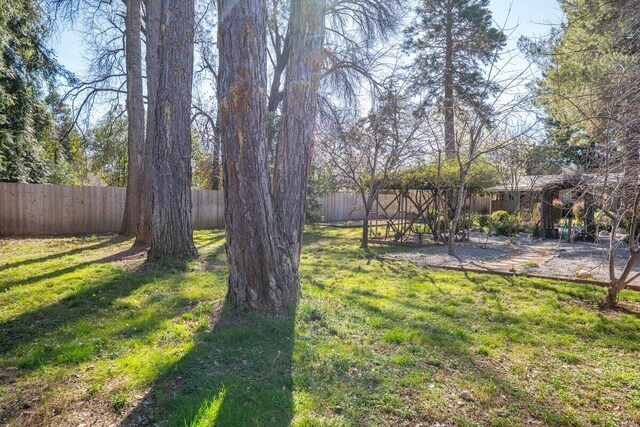 view of yard with a fenced backyard