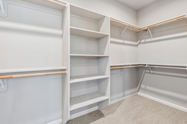 spacious closet with carpet floors