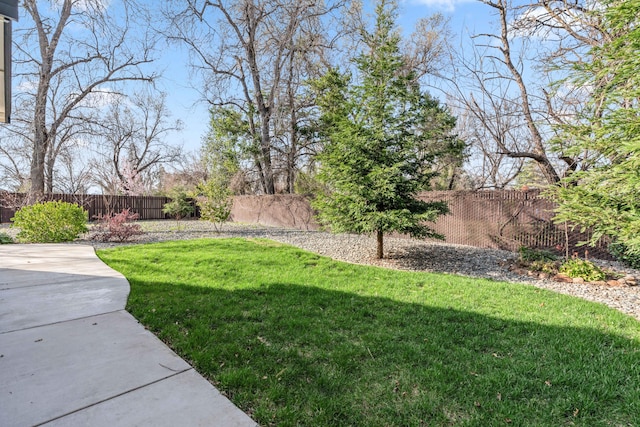 view of yard with a fenced backyard