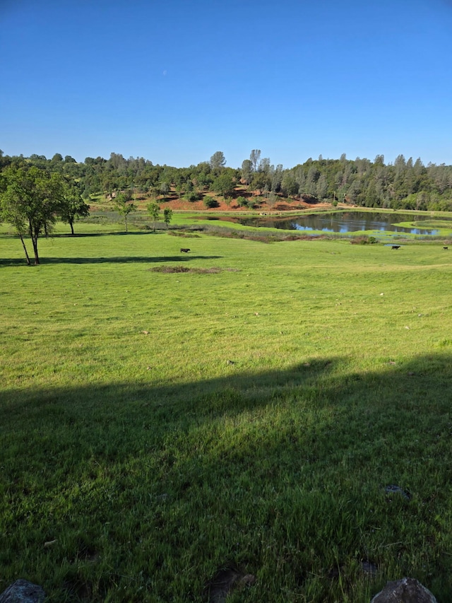 view of property's community with a yard and a water view
