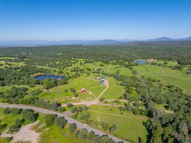 bird's eye view with a view of trees and a water and mountain view