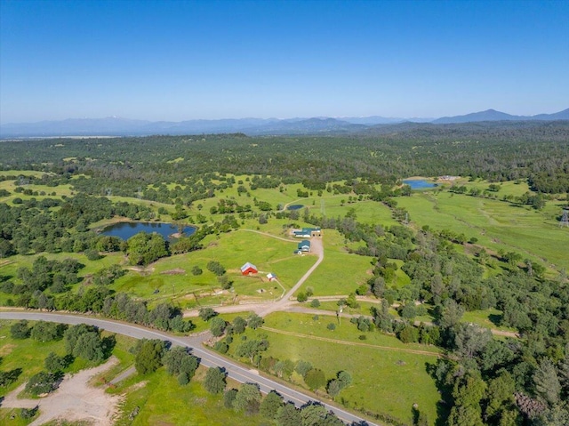 26602 Snider Ranch Rd, Oak Run, CA 96069 - photo 4