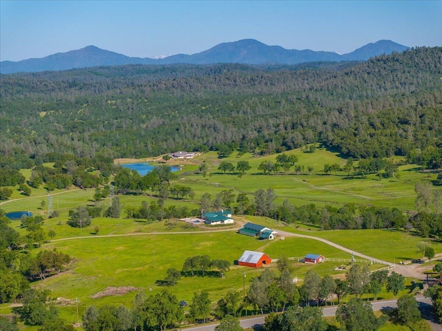 26602 Snider Ranch Rd, Oak Run, CA 96069 - photo 2