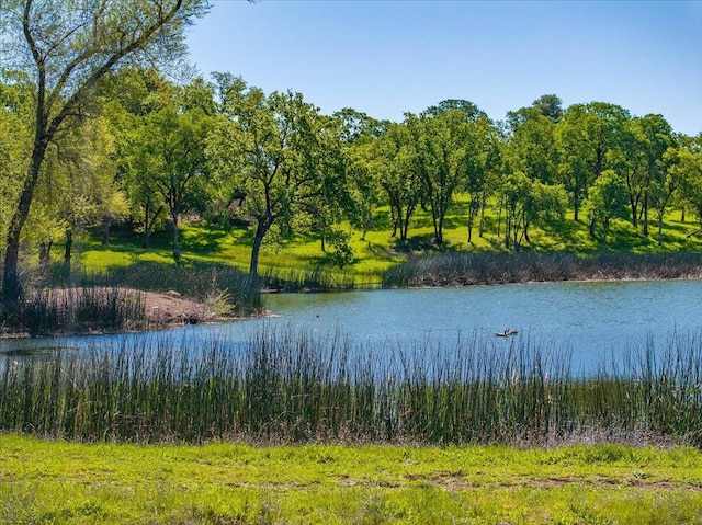 property view of water