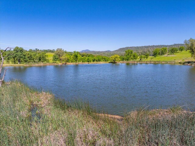 26602 Snider Ranch Rd, Oak Run, CA 96069 - photo 49