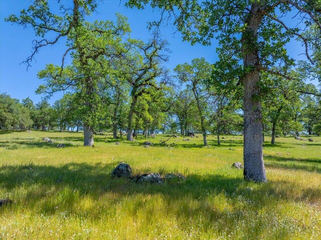 26602 Snider Ranch Rd, Oak Run, CA 96069 - photo 53