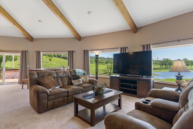 26602 Snider Ranch Rd, Oak Run, CA 96069 - photo 79