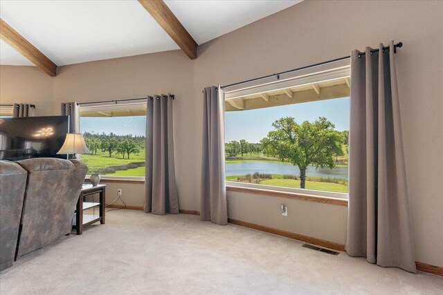 26602 Snider Ranch Rd, Oak Run, CA 96069 - photo 83