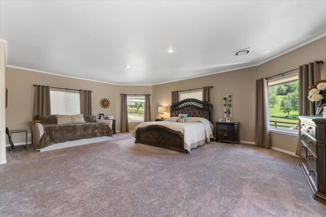 26602 Snider Ranch Rd, Oak Run, CA 96069 - photo 85