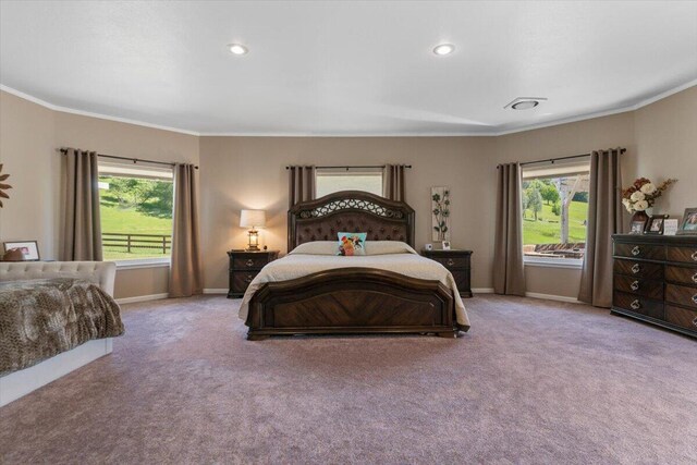 26602 Snider Ranch Rd, Oak Run, CA 96069 - photo 86