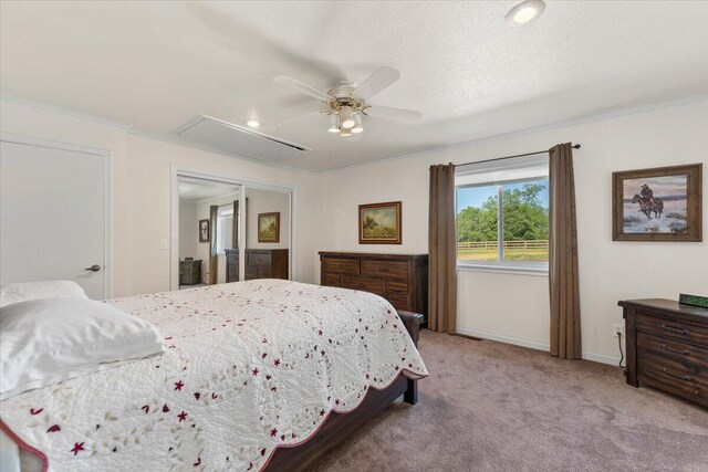 26602 Snider Ranch Rd, Oak Run, CA 96069 - photo 91