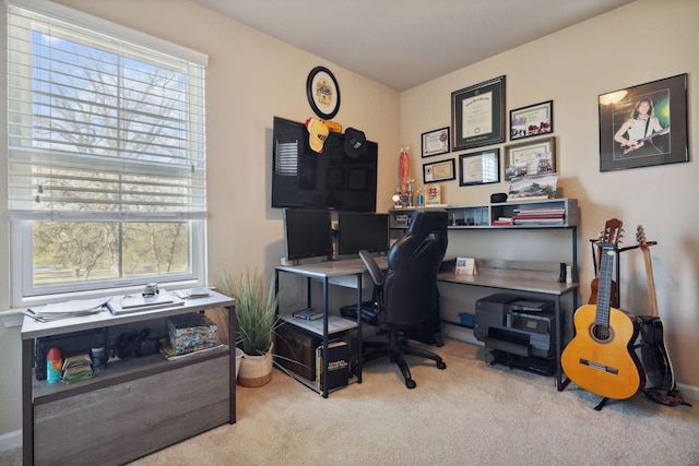 carpeted office with a healthy amount of sunlight