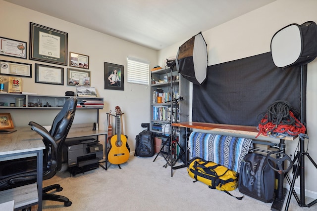 office featuring carpet flooring