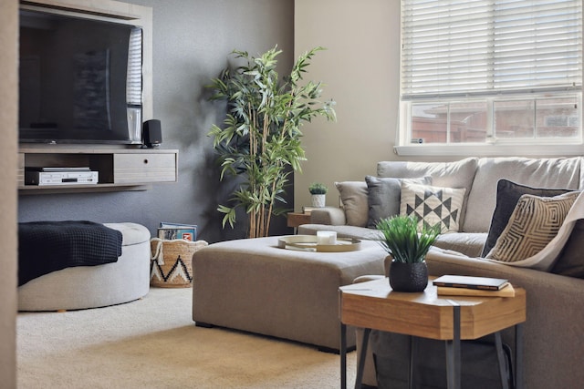 view of carpeted living area