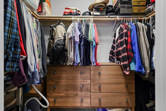 view of spacious closet