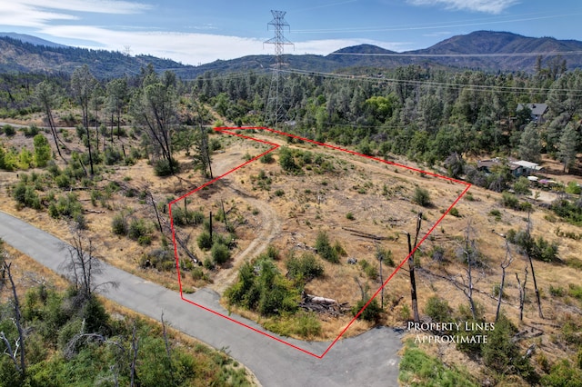 Listing photo 3 for 15388 Shadow Mountain Ln, Shasta CA 96087