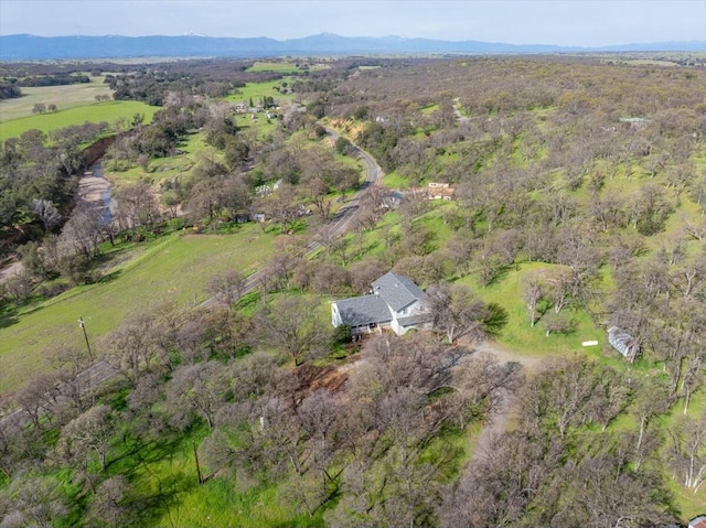 drone / aerial view featuring a mountain view