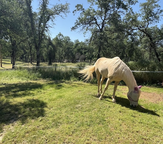 view of grassy yard