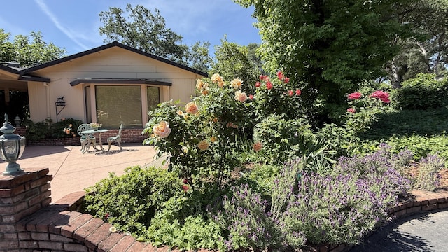 back of house featuring a patio