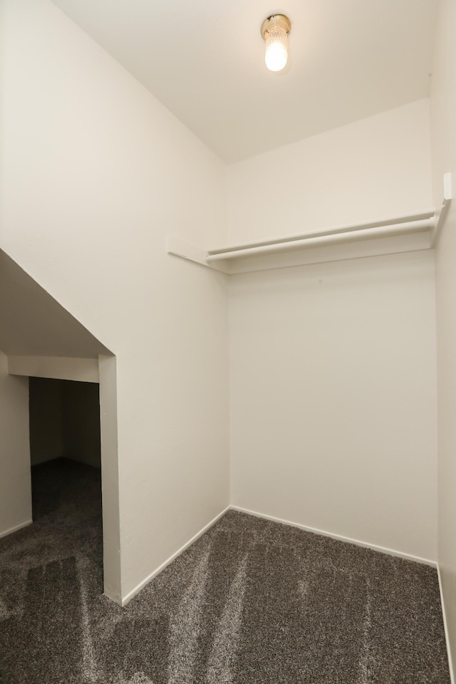 spacious closet with carpet flooring