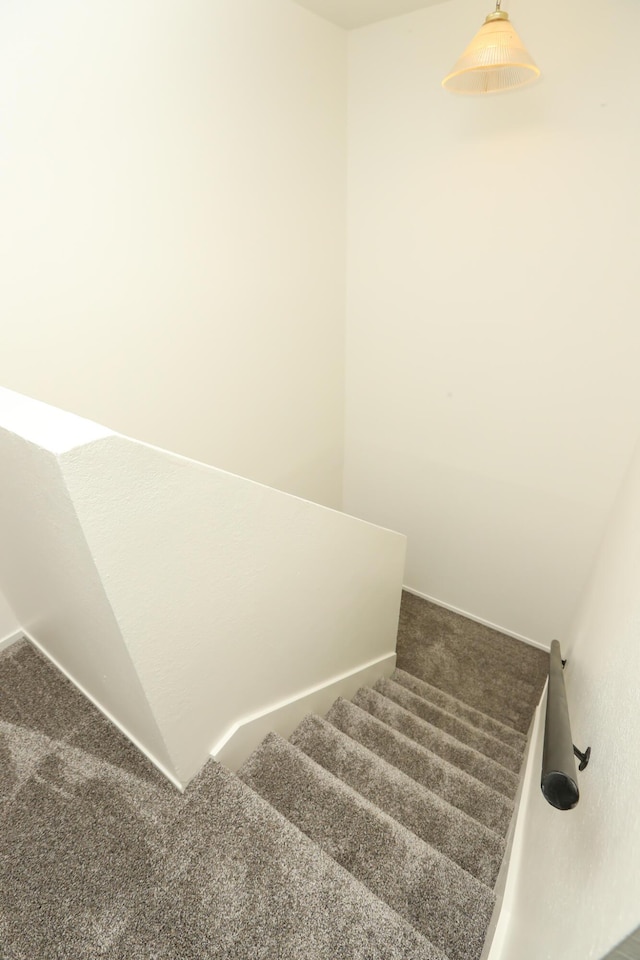 stairs with carpet flooring