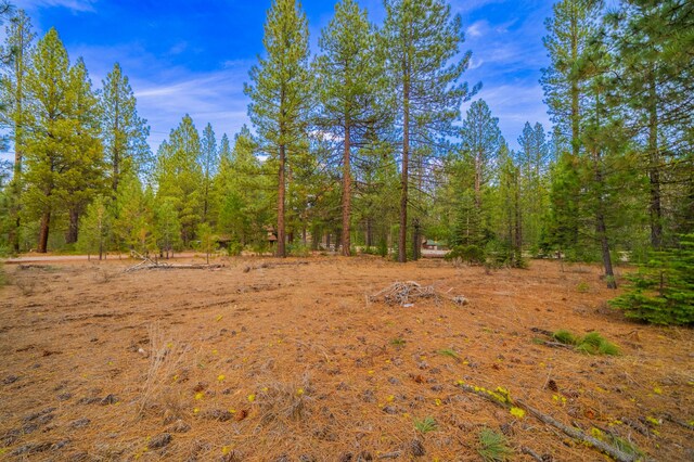 Sugar Loaf Ln, Old Station, CA 96071 - photo 5